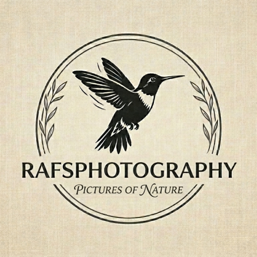 Raf's Photography